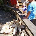 SAM_0561.JPG