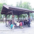 R1179987.JPG