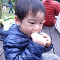 R1179989.JPG