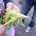 R1179991.JPG