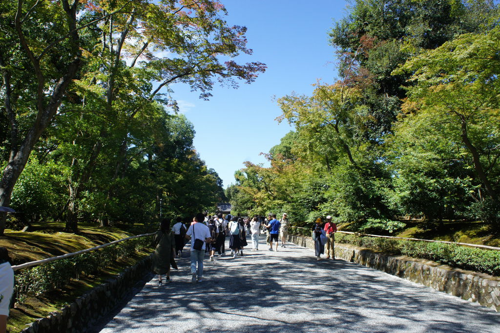 帶家人去旅行 一起走過金閣寺前的通道