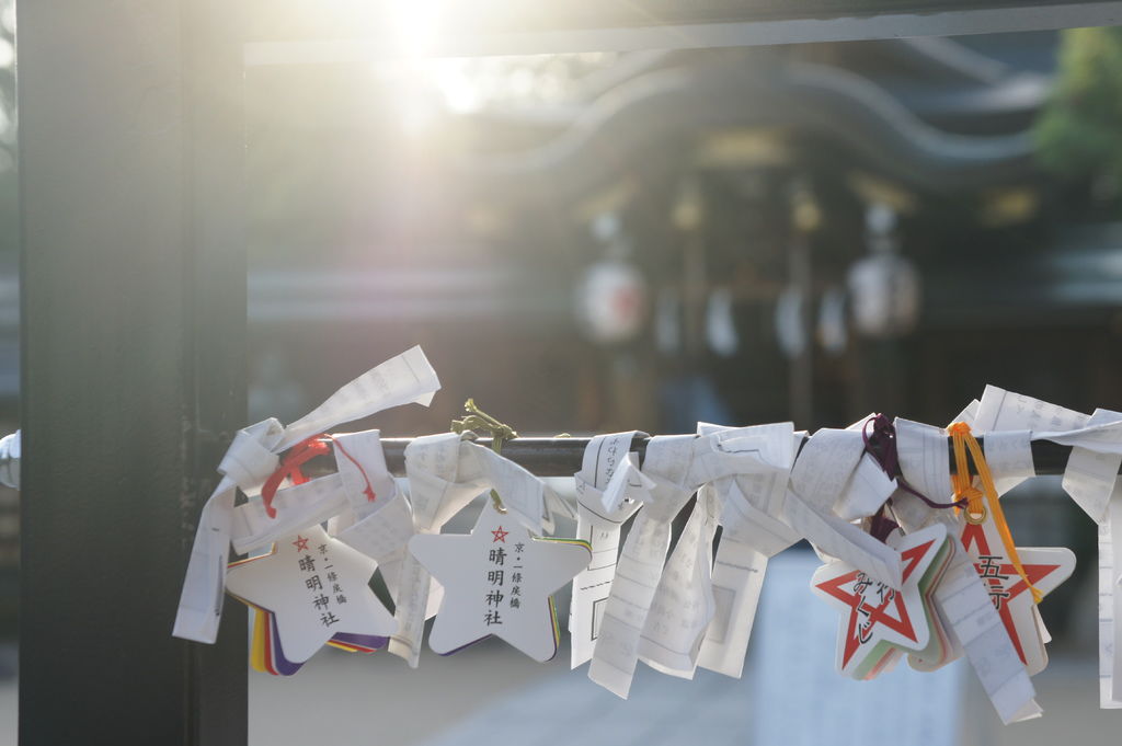 暮光下的晴明神社 與桔梗花季的相遇 京都旅行時的一日遊景點-晴明神社