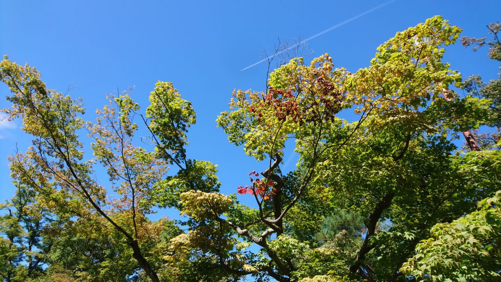 京都在九月都是溫度適中的好天氣