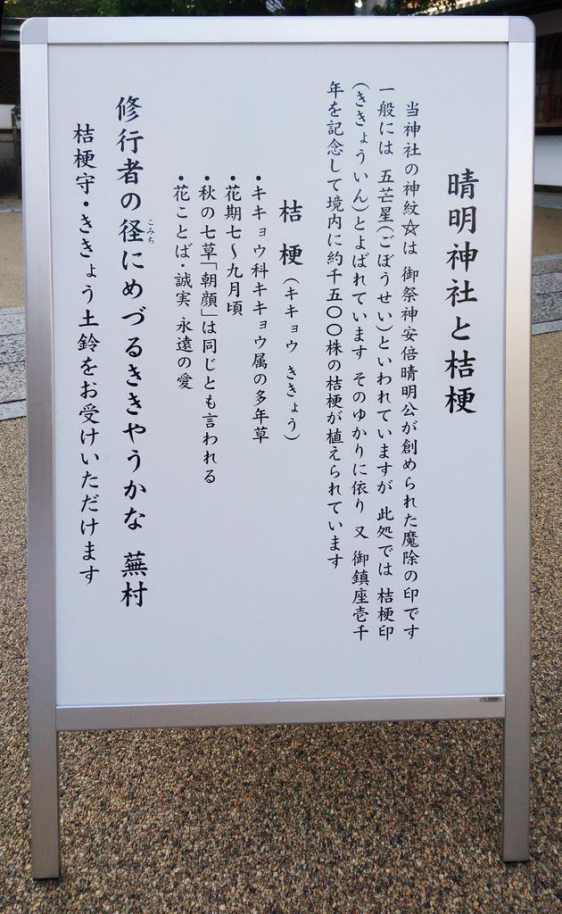 晴明神社 桔梗花季的說明招牌 花季限定的說明 在日本自助旅行的驚喜