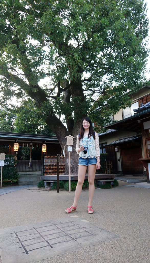 桔梗花季裡的御神木 帶著sony去自助旅行