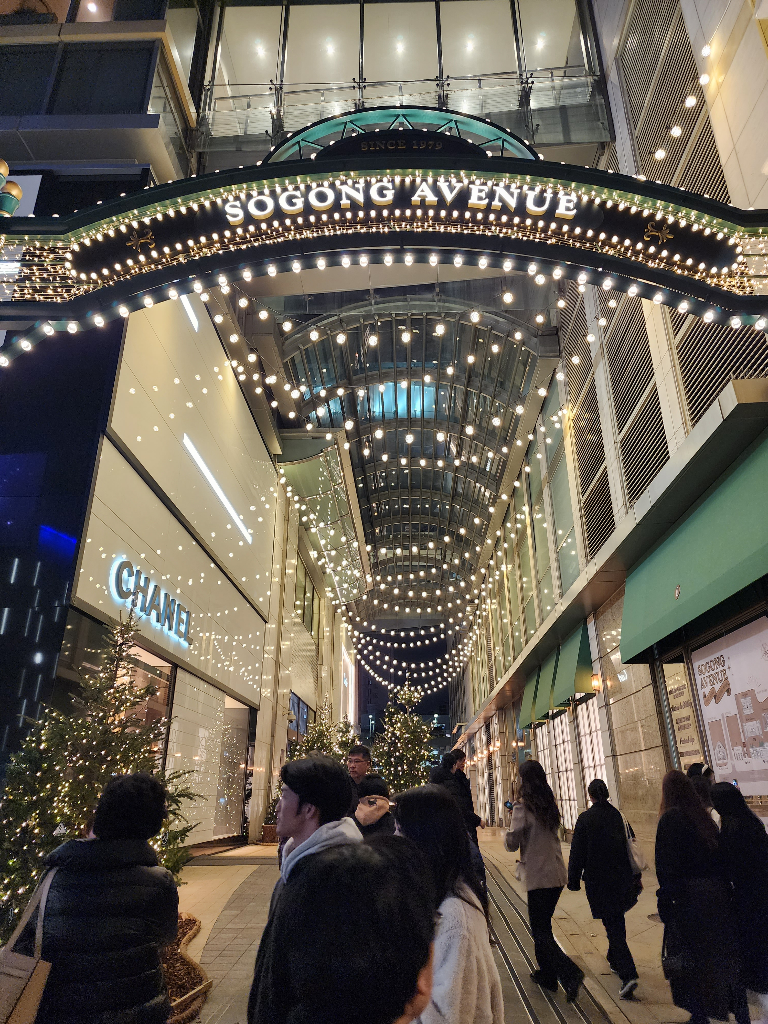 明洞樂天的聖誕燈光大道 網美網紅拍照景點 冬季到首爾必拍