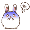 rabbit5