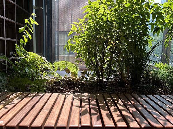 S__154378245.jpg S__154378245.jpg