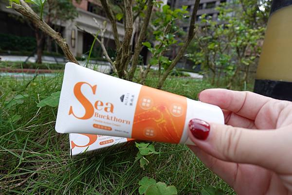 【優森泰ALTAIS】工作累了隨手一抹變成紓壓小物 沙棘關鍵 【優森泰ALTAIS】工作累了隨手一抹變成紓壓小物 沙棘關鍵