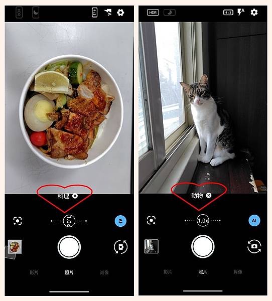 出版物12.jpg 出版物12.jpg