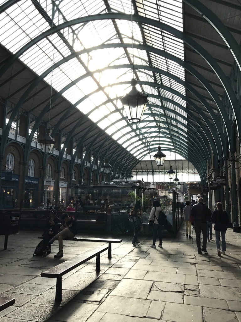 IMG_2495.JPG IMG_2495.JPG