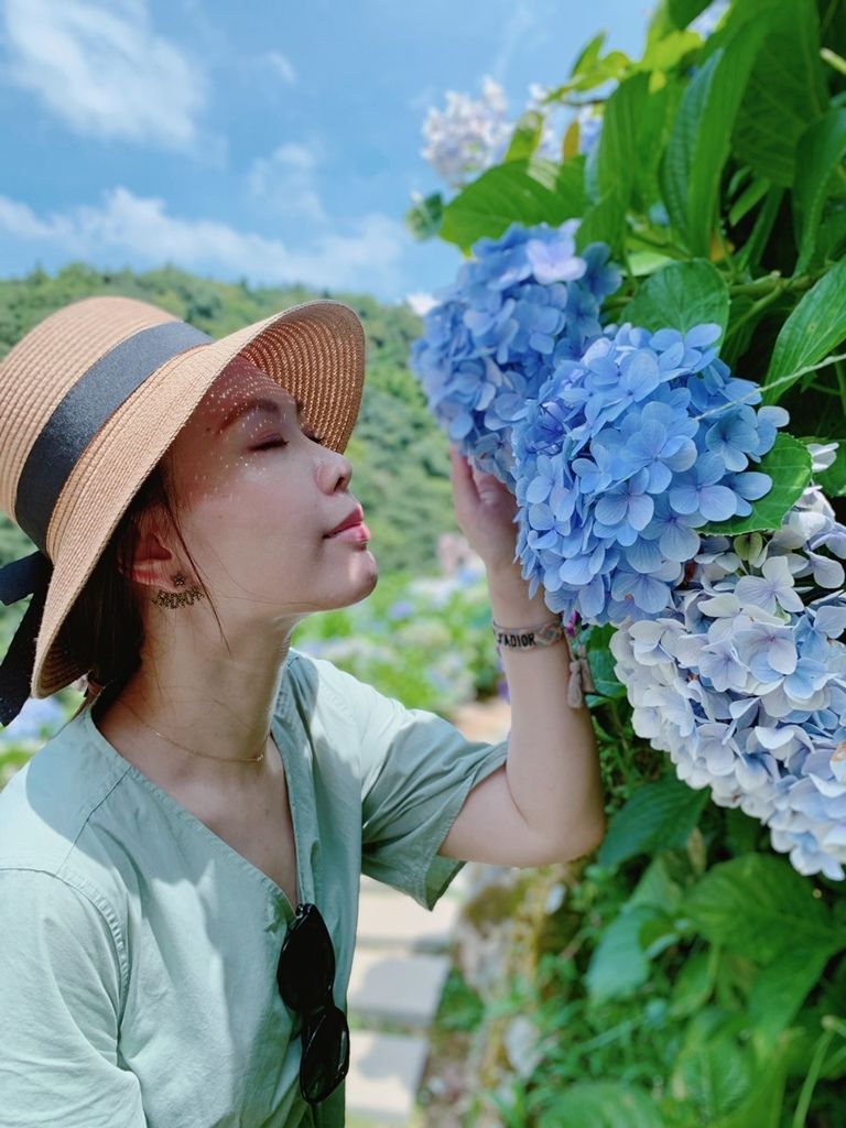 大梯田花卉生態農場｜陽明山竹子湖｜繡球花22.jpg