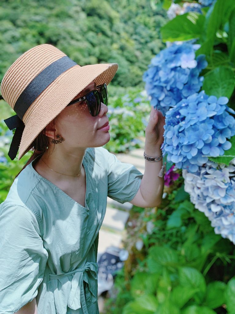 大梯田花卉生態農場｜陽明山竹子湖｜繡球花23.jpg