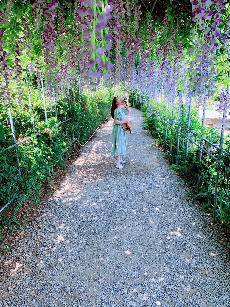 大梯田花卉生態農場｜陽明山竹子湖｜紫藤花06.jpg