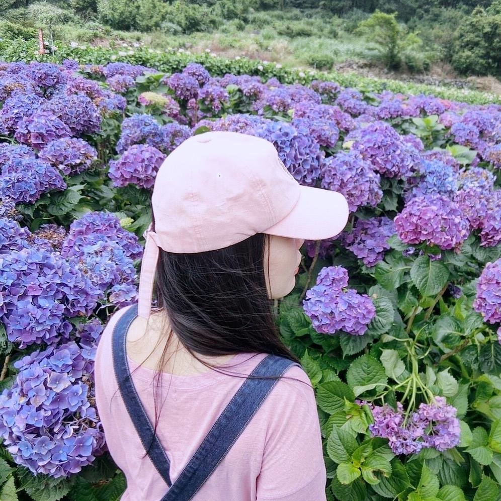 大賞園繡球花田｜花海.jpg