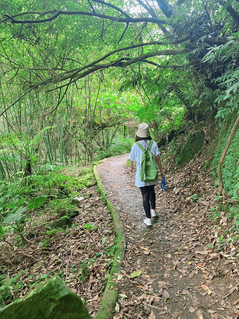 新店登山步道.JPG