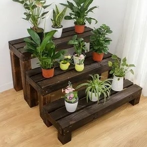 1688806904731.jpg 1688806904731.jpg