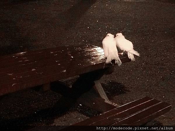 IMG_6514.JPG IMG_6514.JPG