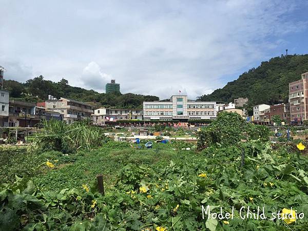 馬祖-南竿_4597