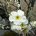 IMG_2548.JPG