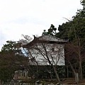 IMG_2561.JPG