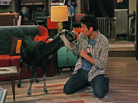 ted-and-the-goat_480x360.jpg
