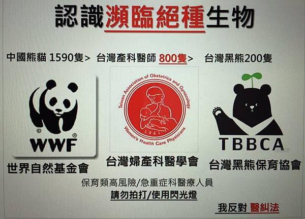 image (16) image (16)