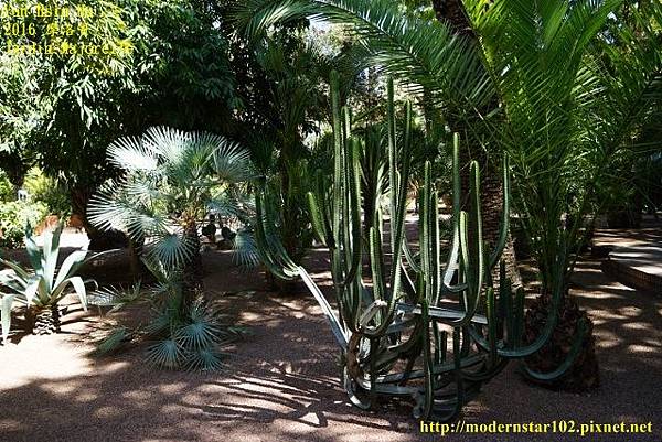 1050412Jardin MajorelleDSC00377 (640x427).jpg