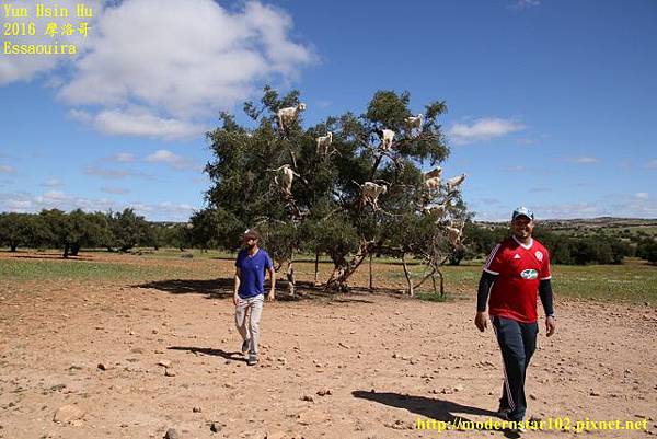 1050413Essaouira894A0175 (640x427).jpg