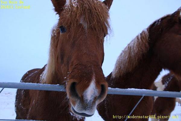 201611Iceland Day5894A1344 (640x427).jpg