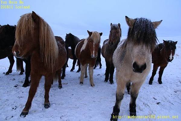 201611Iceland Day5894A1367 (640x427).jpg