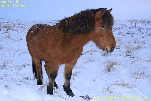 201611Iceland Day5894A1417 (640x427).jpg