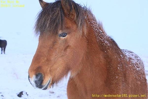 201611Iceland Day5894A1419 (640x427).jpg