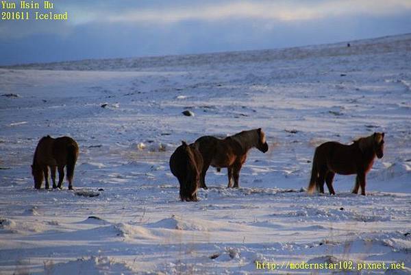 201611Iceland Day5894A1576 (640x427).jpg