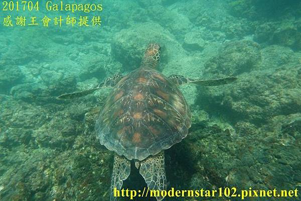 10604GalapagosDSC00241 (640x427).jpg