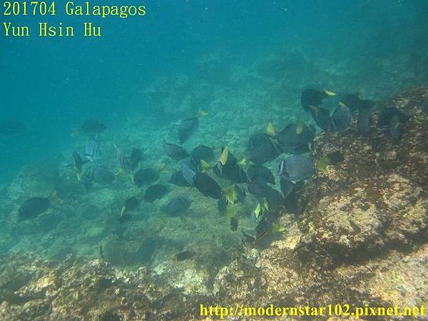 10604GalapagosIMG_0308 (640x480).jpg