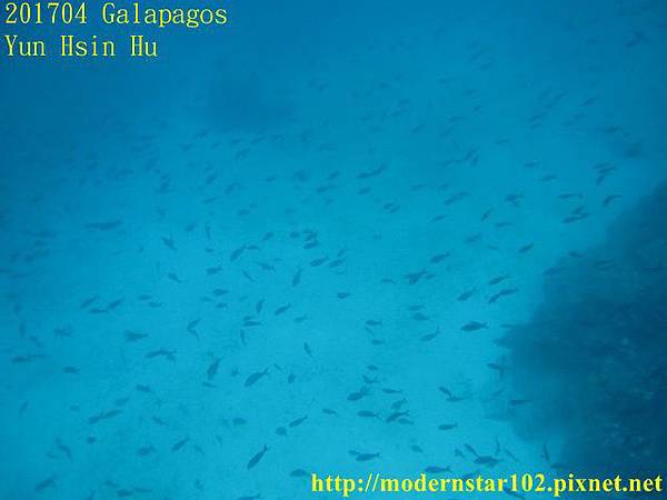 10604GalapagosIMG_0448 (640x480).jpg