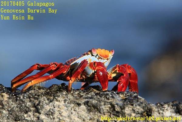 1060405 Darwin Bay894A2000 (640x427).jpg