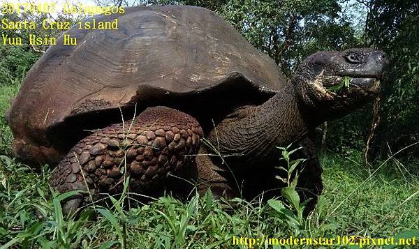 1060407 Santa Cruz islandDSC07994 (640x380).jpg