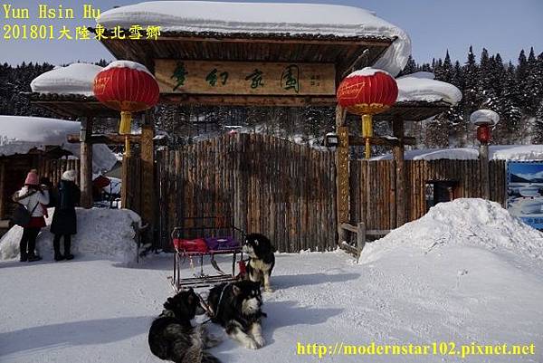 201801雪鄉2DSC00495 (640x427).jpg