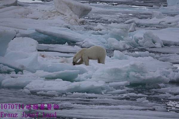 1070711 Franz Josef Land894A0957 (640x427).jpg