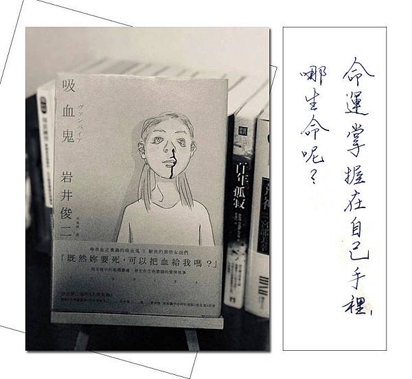 書評圖檔06.jpg
