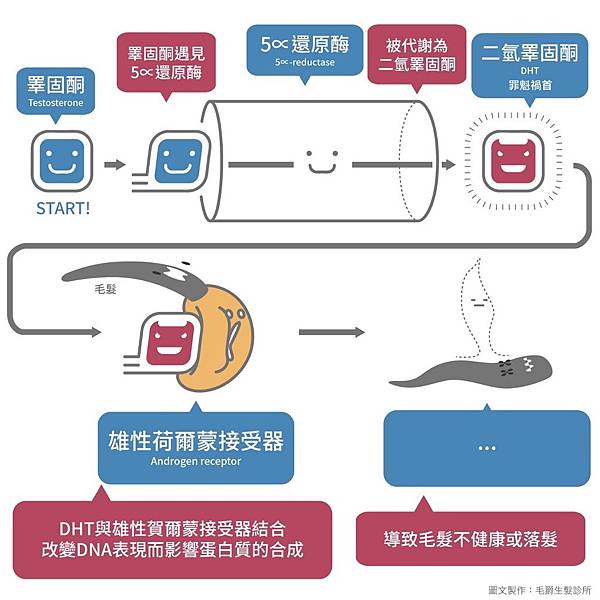 生髮水濕擦植髮生髮水加劇落髮頭皮保養外用minoxidil女用生髮水PTT生髮水推薦價格韓式植髮筆台北植髮推薦MOJELIM毛爵生髮診所劉怡坊醫師fuefutartas植髮機器.jpg