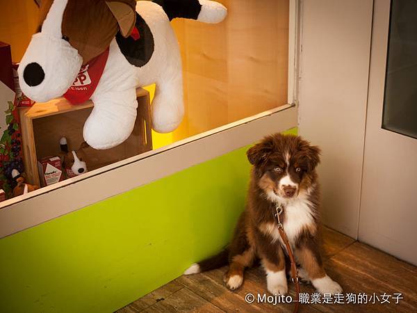 LJS_9360 LJS_9360