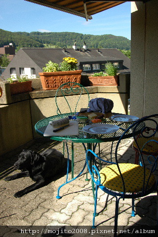 2009_0522hunde0014.JPG