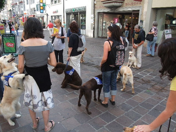 2009_0710hunde0009.JPG