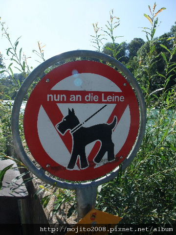 2009_0730hunde0094.JPG 2009_0730hunde0094.JPG