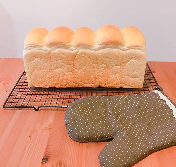 IMG_3510 2.JPG IMG_3510 2.JPG