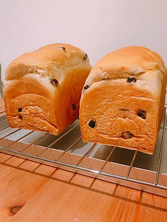 IMG_3247.JPG IMG_3247.JPG