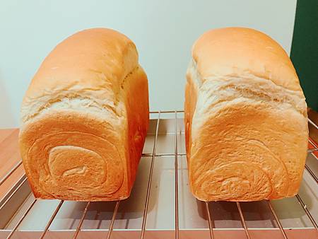 IMG_3294.JPG IMG_3294.JPG